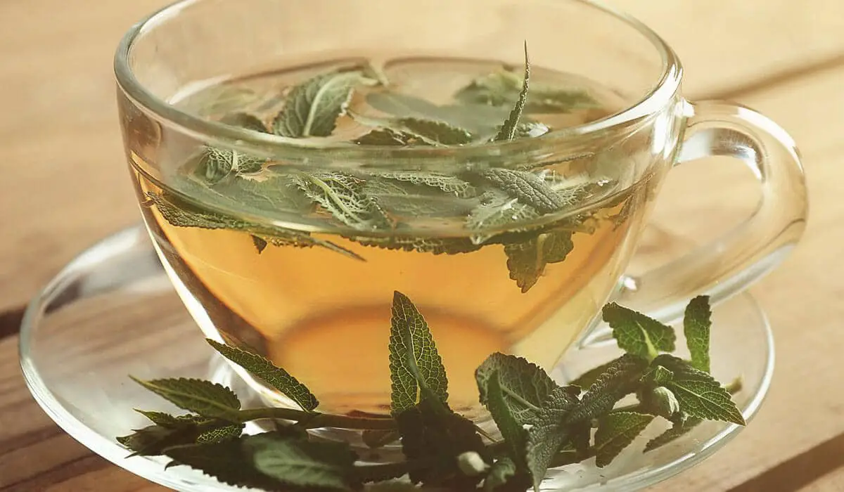 فوائد المرمية الكثيرة و المدهشة 1 فوائد المرمية الكثيرة و المدهشة فوائد المرمية الكثيرة و المدهشة فوائد المرمية الكثيرة و المدهشة