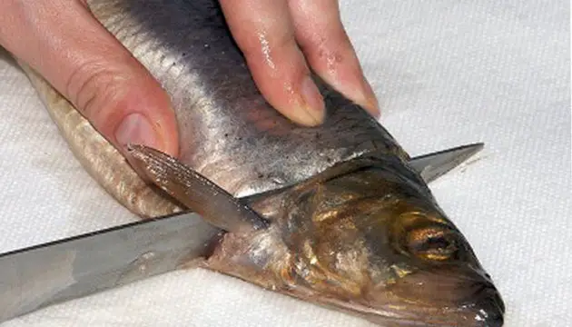 ‘Yağlı balıkların aşırı tüketimi, erken ölüm riskini önemli ölçüde artırıyor’