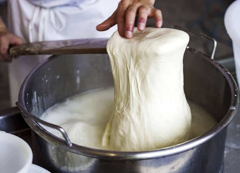 طريقة عمل الجبنة الموزاريلا من اللبن القاطع