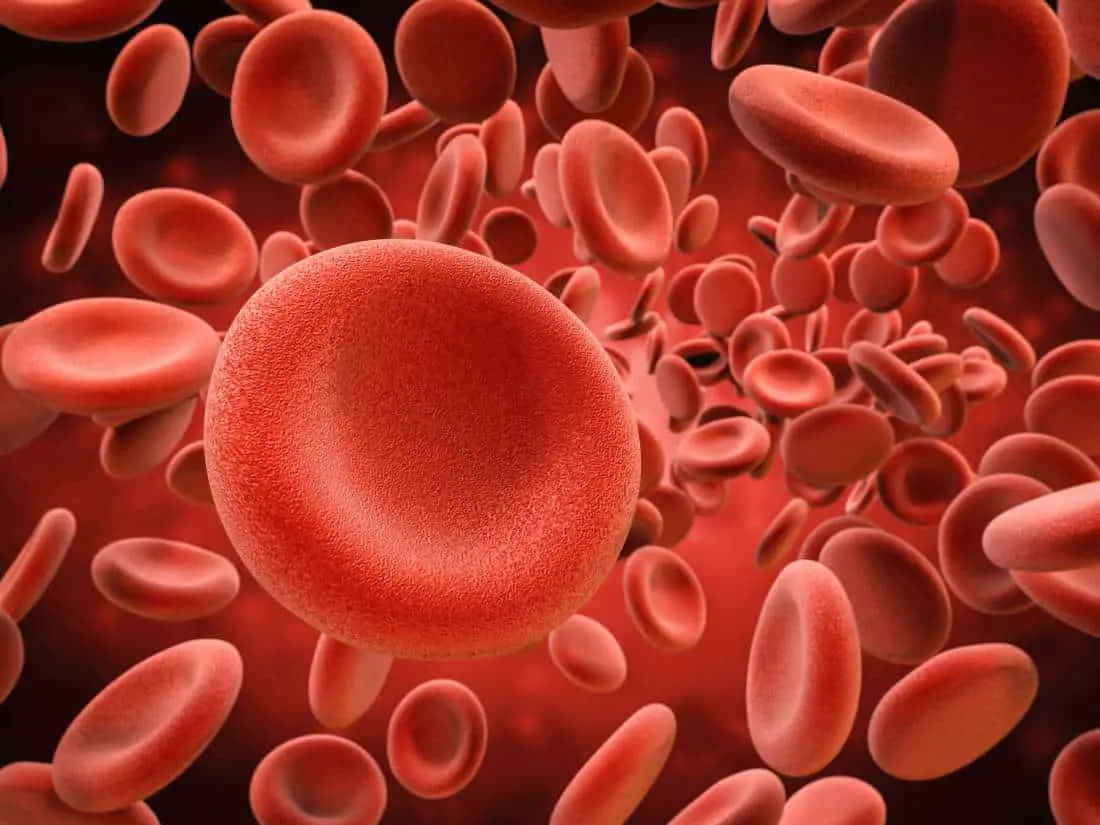 من هم الأكثر عرضة لخطر الإصابة بالأنيميا وفقر الدم؟