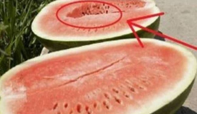10 علامات لاختيار البطيخ الناضج والمسكر