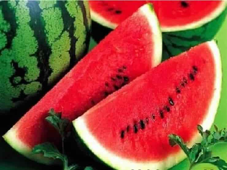 tekens een ​​rijpe zoete watermeloen te kiezen -