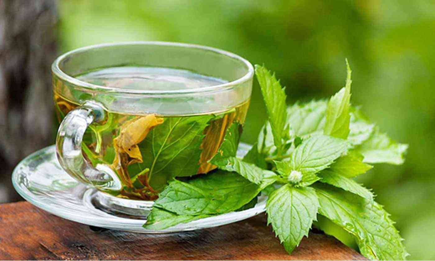 أكلات لزيادة حليب الأم - الشاي الأخضر