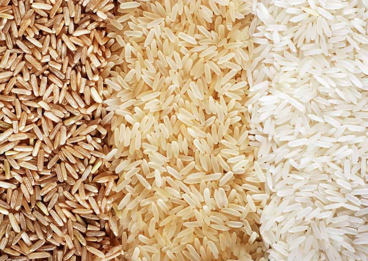 سعرات الأرز البسمتي