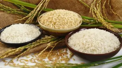 السعرات الحرارية في الارز البسمتي