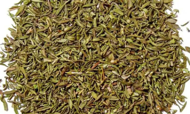 فوائد الزعتر المغلي للصحة لا تتخيلها 1 فوائد الزعتر المغلي للصحة لا تتخيلها فوائد الزعتر المغلي للصحة لا تتخيلها فوائد الزعتر المغلي