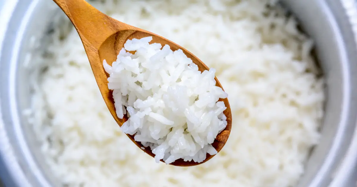 السعرات الحرارية في الأرز المصري المطبوخ