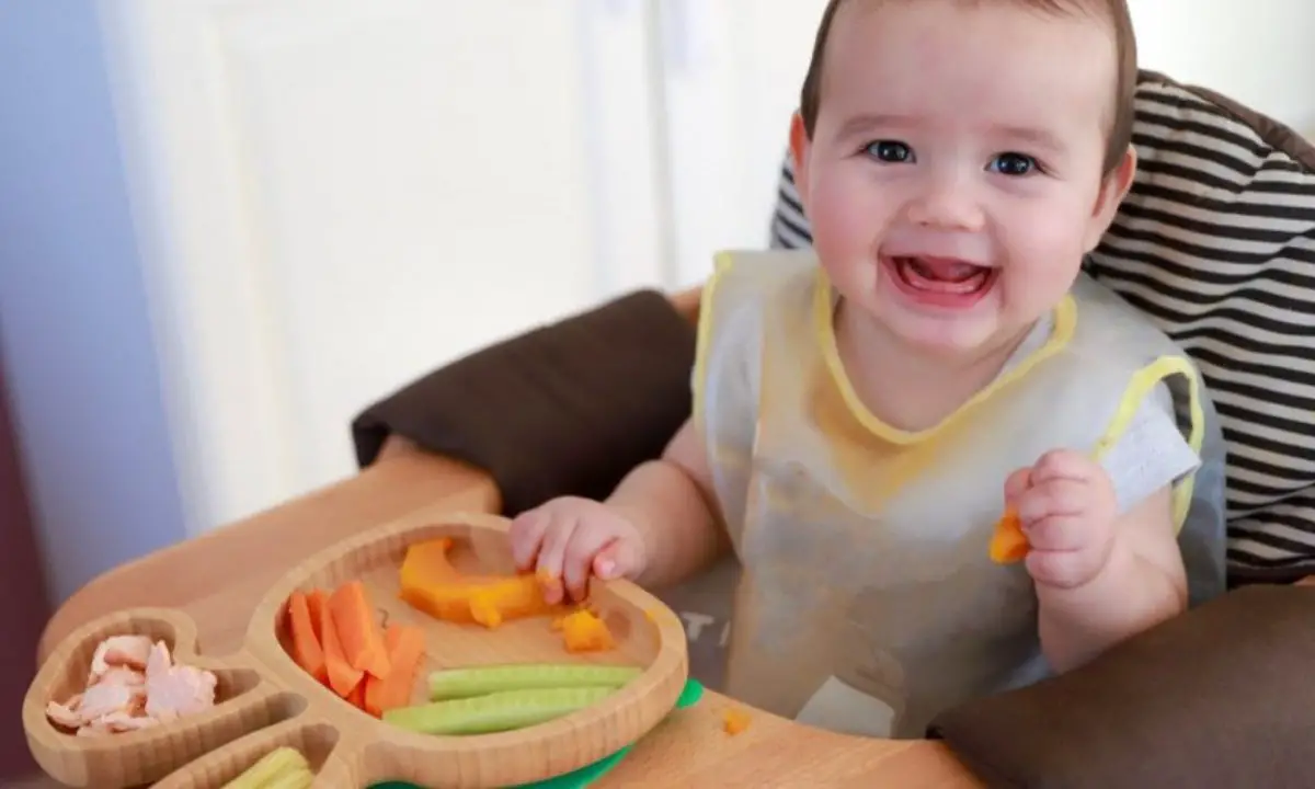 Programme D Alimentation De Bebe 7 Mois Un Repas En Deux Minutes