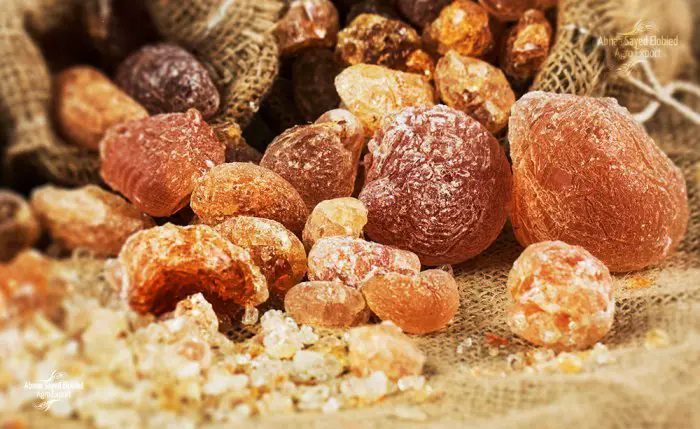 فوائد الصمغ العربي للتخسيس 1 فوائد الصمغ العربي للتخسيس فوائد الصمغ العربي للتخسيس فوائد الصمغ العربي للتخسيس
