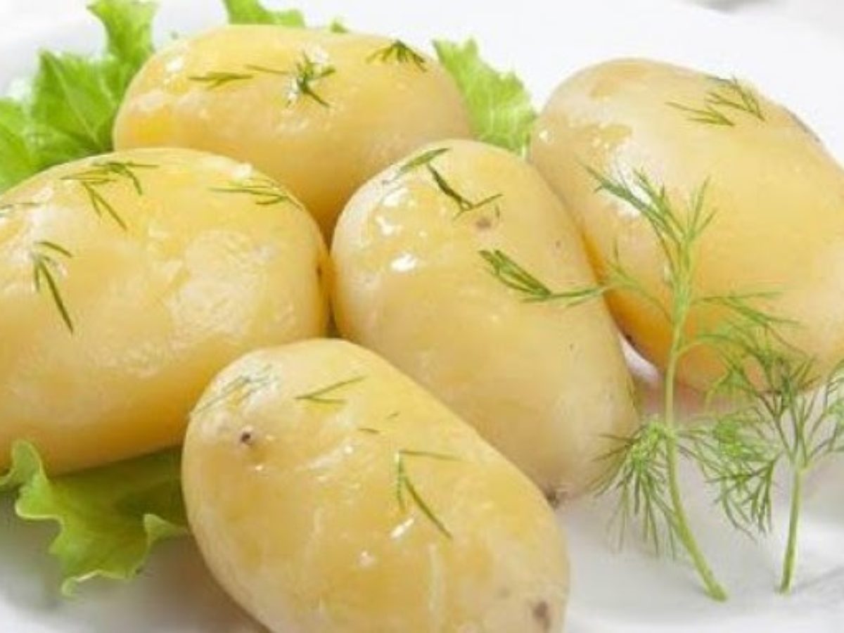 Картошку без укропа. Вареная картошка. Картофель отварной. Картофель отварной с укропом. Картофель молодой.