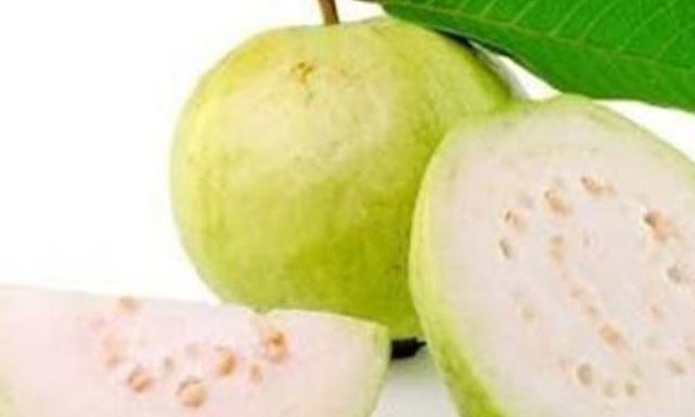 فوائد عصير الجوافة