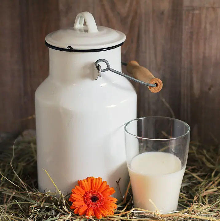 السعرات الحرارية في الحليب