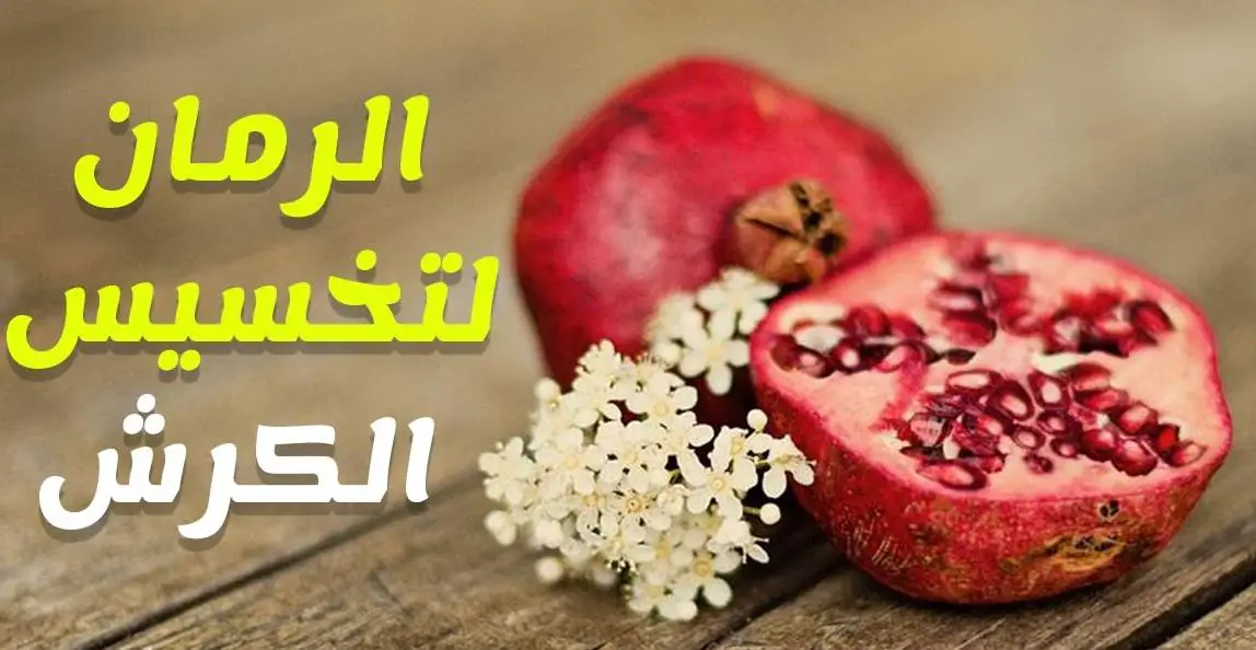 فوائد الشاي الاخضر بالنعناع على الريق 15 فوائد الشاي الاخضر بالنعناع على الريق فوائد الشاي الاخضر بالنعناع على الريق فوائد الرمان للتخسيس