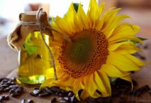 Vorteile der Sonnenblumenliebe