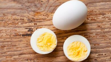 كم تحتوي البيضة على بروتين