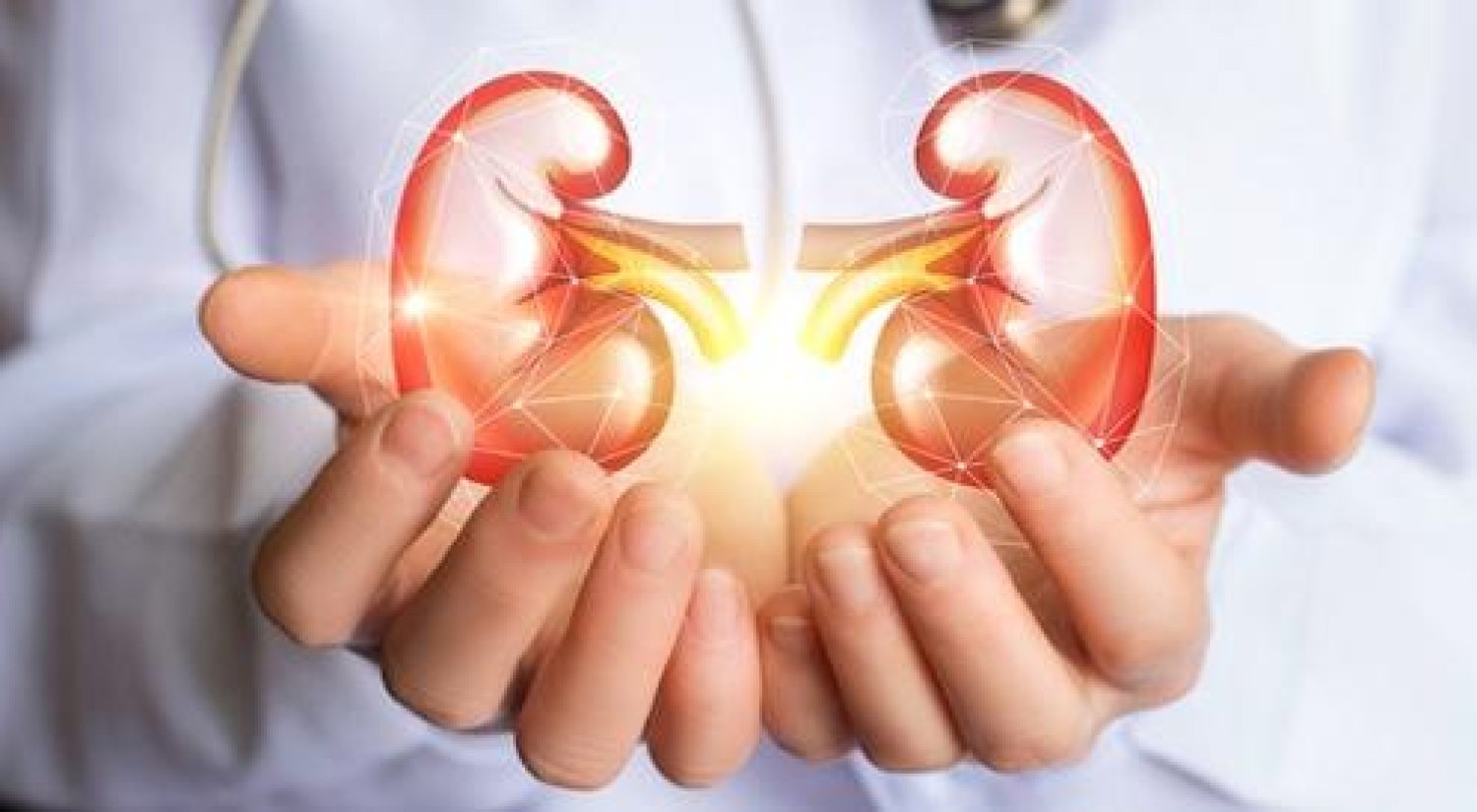 طبخات لمرضى الكلى 1 طبخات لمرضى الكلى طبخات لمرضى الكلى طبخات لمرضى الكلى